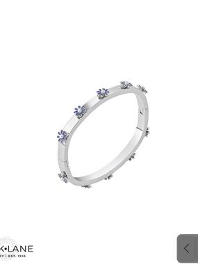 Park Lane “Freesia” Bracelet in Silver! BNIB!!